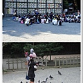 114-同一個地方，今年是校外教學的小學生集合中，三年前是鴿子餵食秀XD.jpg