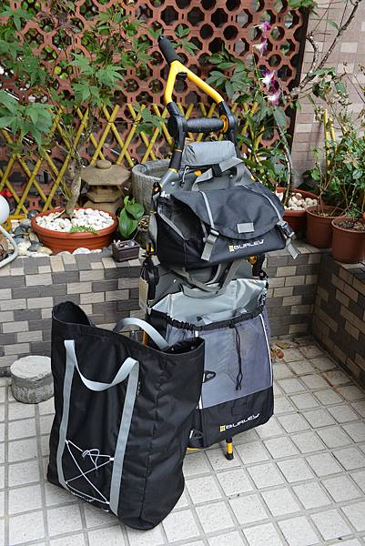 DSC_3911.JPG DSC_3911.JPG