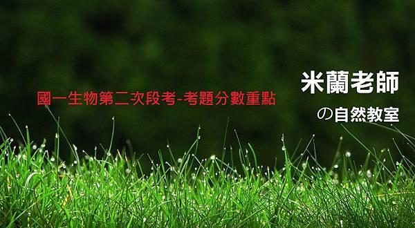 22181387_605992272858409_7153892007215369104_o - 複製 (2) 22181387_605992272858409_7153892007215369104_o - 複製 (2)