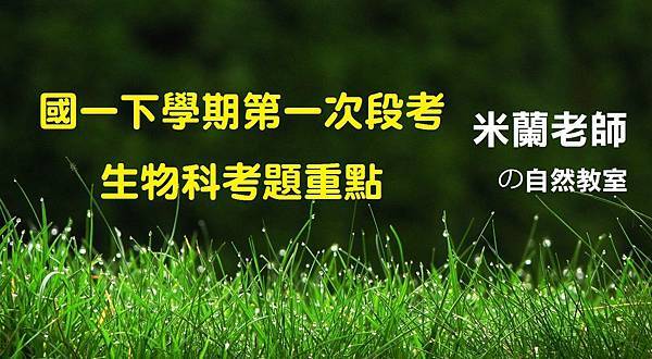 22181387_605992272858409_7153892007215369104_o - 複製