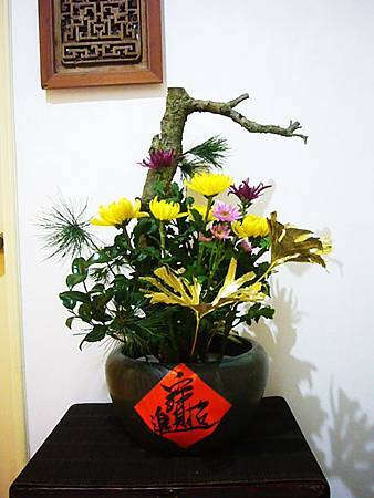 2014年農曆年年花