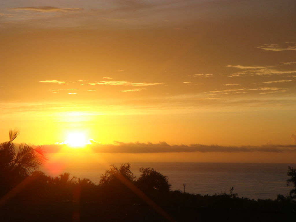 DSC05363 DSC05363
