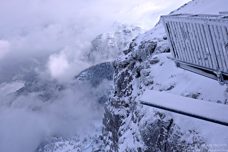 MAOL1506.jpg MAOL1506.jpg