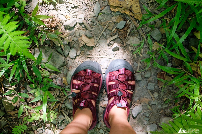 山女孩Melissa_keen_Newport Eco護趾涼鞋_心得分享MAOL7960.jpg 山女孩Melissa_keen_Newport Eco護趾涼鞋_心得分享MAOL7960.jpg