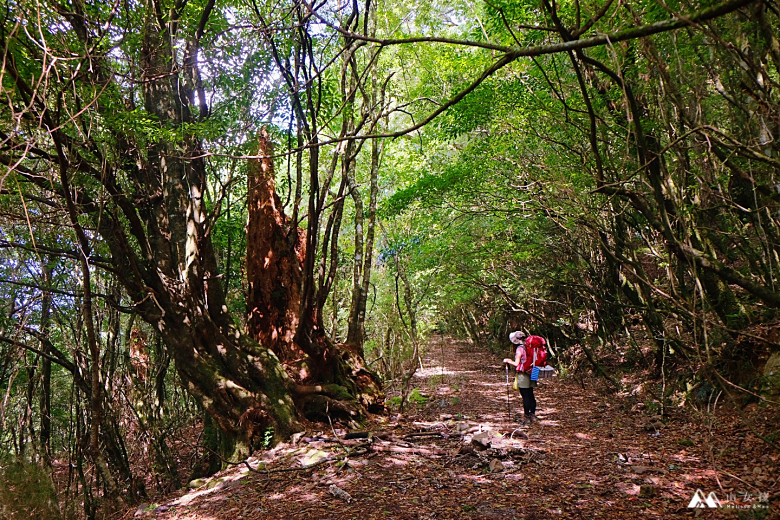 山女孩Melissa_鈴鳴山_201809S__2056299.png 山女孩Melissa_鈴鳴山_201809S__2056299.png
