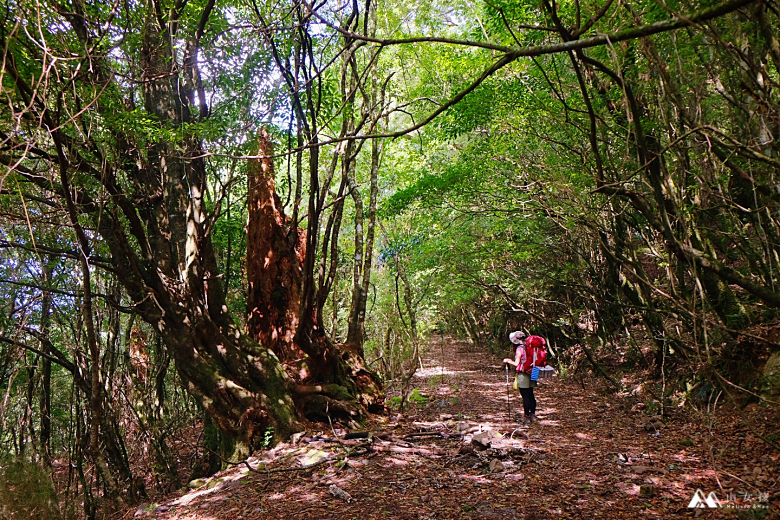 山女孩Melissa_鈴鳴山_201809S__2056299.png