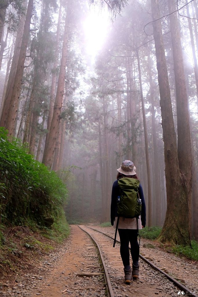山女孩Melissa_特富野古道_MAOL0951.JPG 山女孩Melissa_特富野古道_MAOL0951.JPG