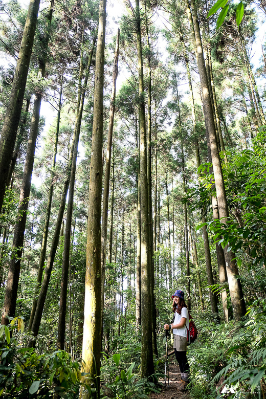 山女孩Melissa_苗栗南庄_向天湖山_飛機殘骸_三角湖山-6864.jpg