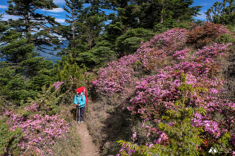 山女孩Melissa_南湖大山群峰_四天三夜-8241.jpg