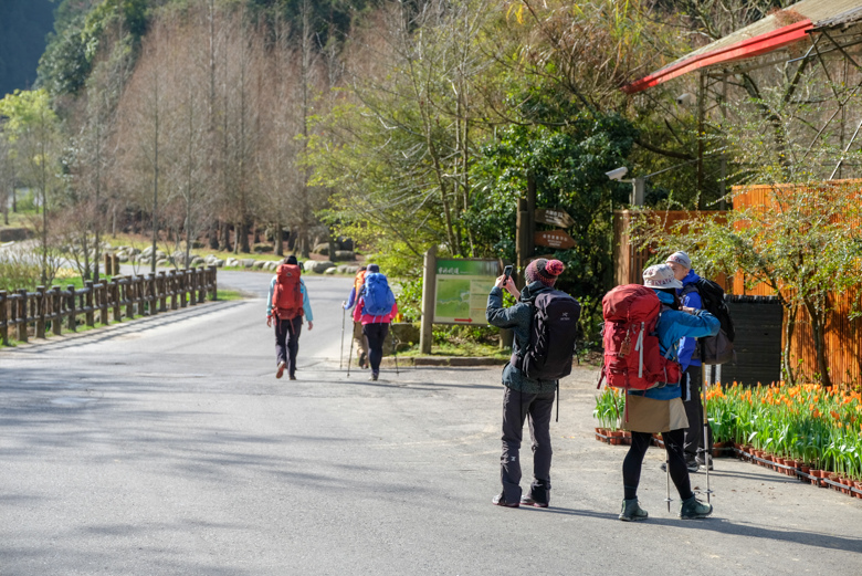 阿里山水漾森林.jpg