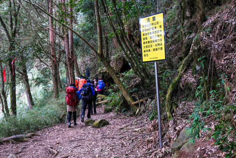 阿里山水漾森林兩天一夜心得