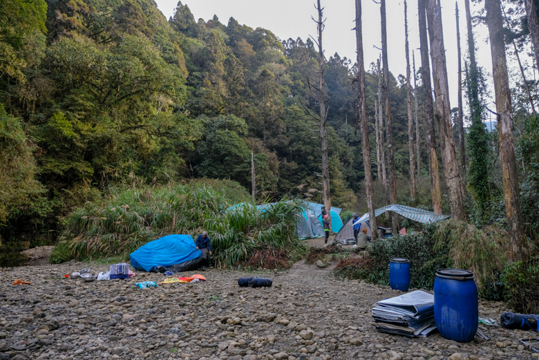 阿里山水漾森林兩天一夜心得