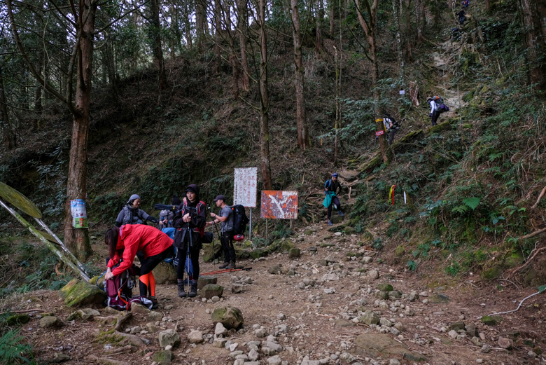 阿里山水漾森林兩天一夜心得