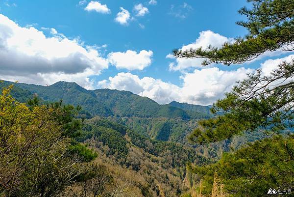 山女孩MelissaxMao冒險生活_鹿林麟趾山.JPG