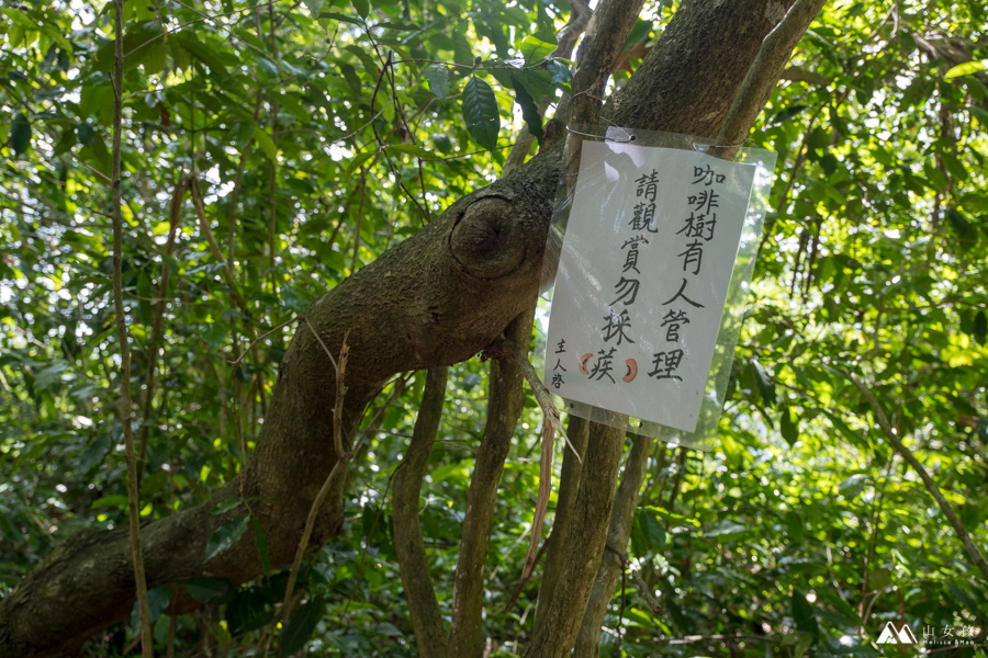 山女孩MelissaxMao冒險生活_甲仙六義山-9876.jpg