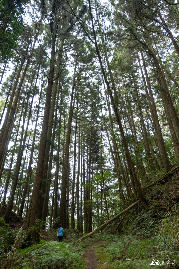 【新阿溪縱走】溪阿縱走ｘ眠月線ｘ水漾森林３天超完整全紀錄