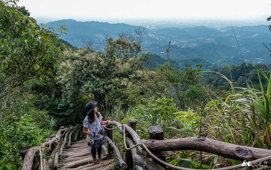 台中,北屯,大坑,大坑四號步道,頭嵙山,登山,健行,踏青,步道,小百岳,三角點,吊橋,台中景點