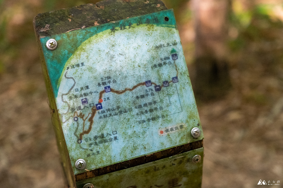 山女孩MelissaxMao冒險生活_水社大山_日月潭登山_路線分享-20.JPG