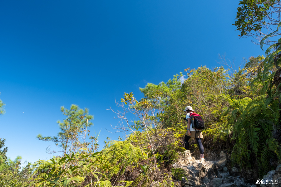 山女孩MelissaxMao冒險生活_水社大山_日月潭登山_路線分享-41.JPG