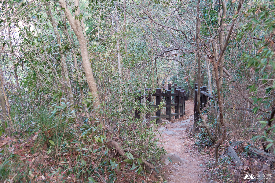 【台中|谷關】訓練腳力的中級山。坡真陡的波津加山。谷關七雄健