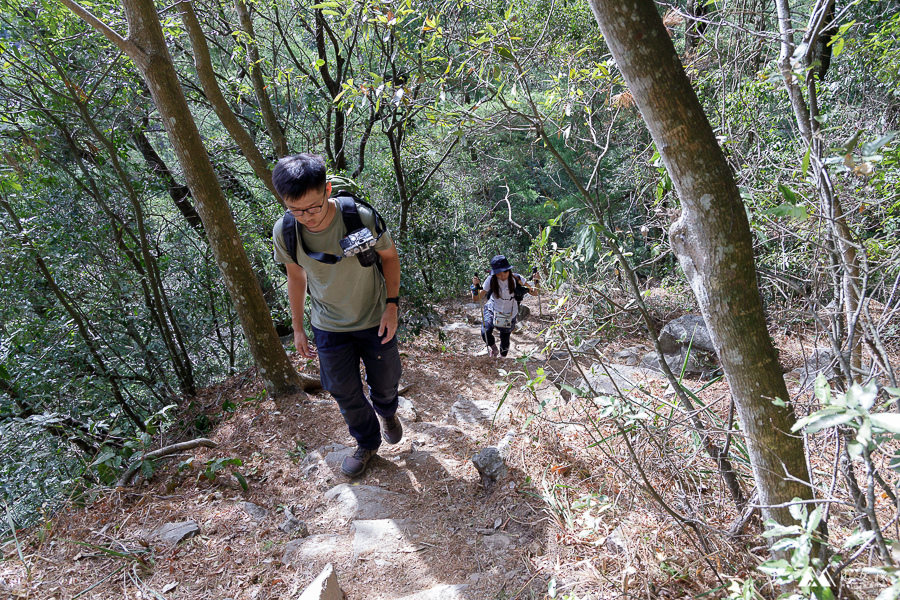 【台中|谷關】訓練腳力的中級山。坡真陡的波津加山。谷關七雄健