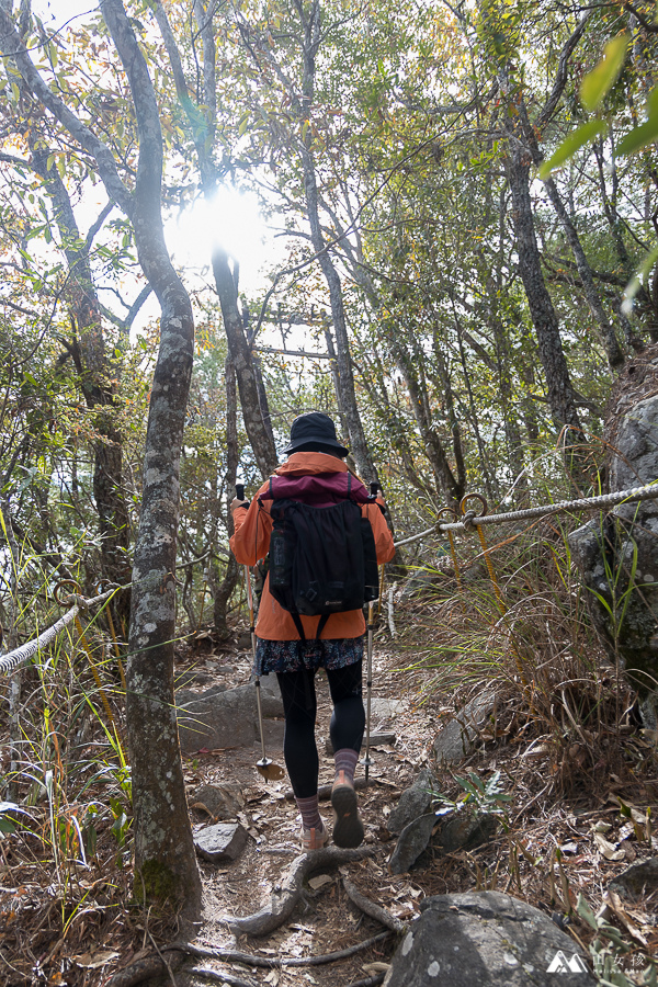 【台中|谷關】訓練腳力的中級山。坡真陡的波津加山。谷關七雄健