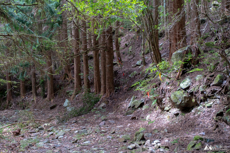 【高雄|六龜】南部幽靜的高山湖泊：石山秀湖三天兩夜。溪南山／