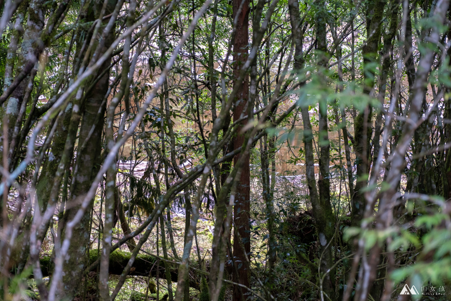 【高雄|六龜】南部幽靜的高山湖泊：石山秀湖三天兩夜。溪南山／