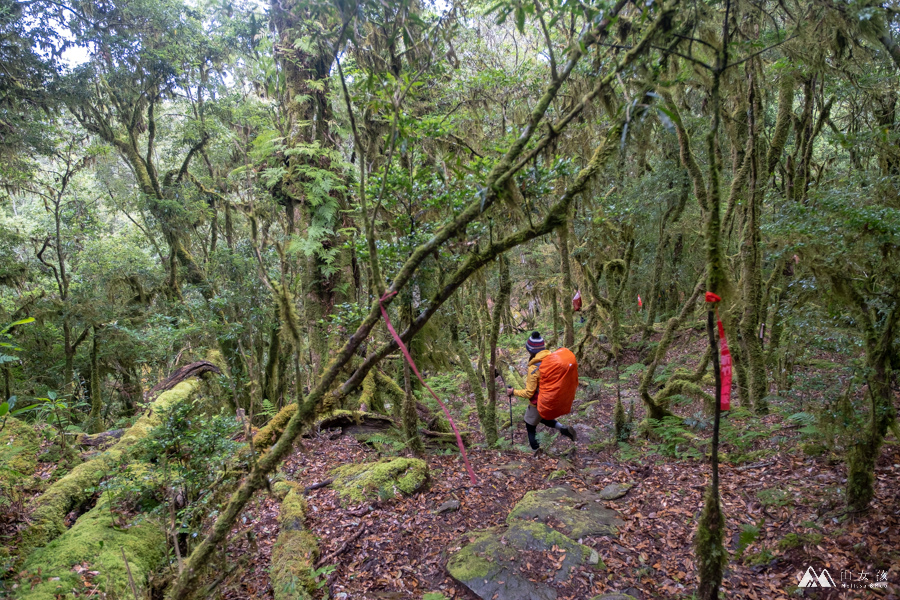 【高雄|六龜】南部幽靜的高山湖泊：石山秀湖三天兩夜。溪南山／