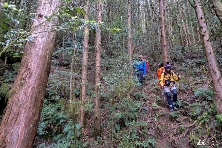 【高雄|六龜】南部幽靜的高山湖泊：石山秀湖三天兩夜。溪南山／