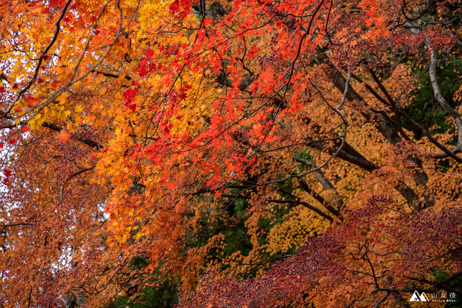 山女孩MelissaxMao冒險生活_御岳山-6850.jpg