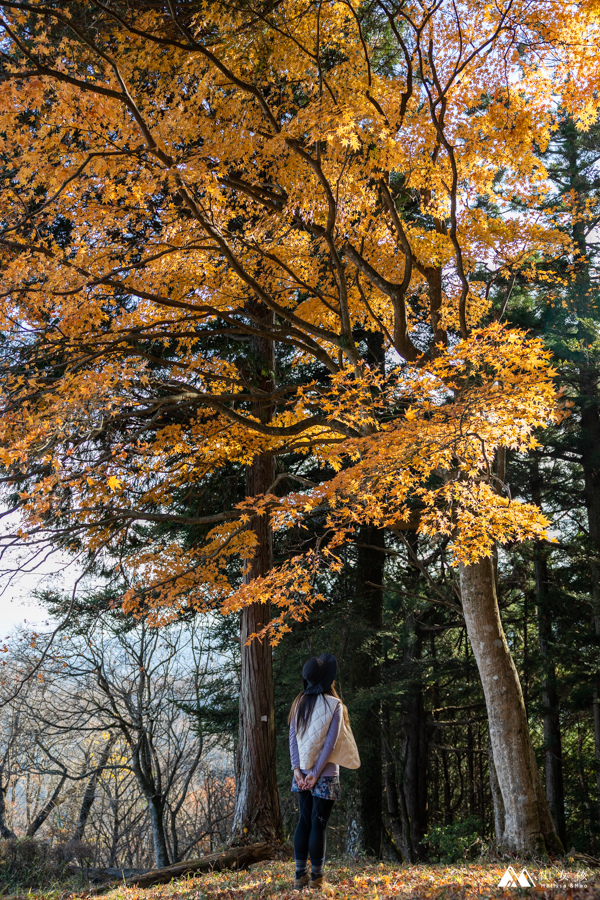 山女孩MelissaxMao冒險生活_御岳山-8365.jpg