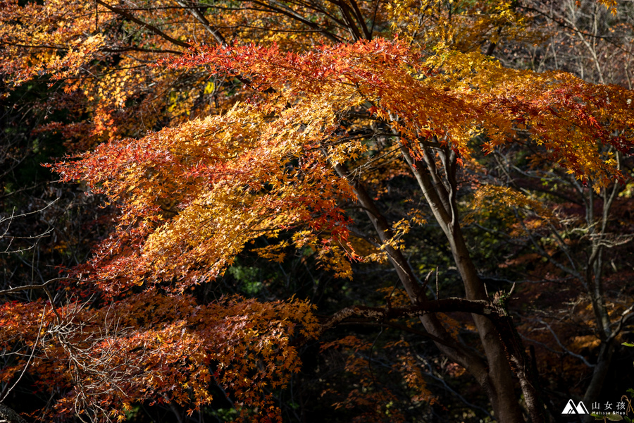 山女孩MelissaxMao冒險生活_御岳山-8426.jpg