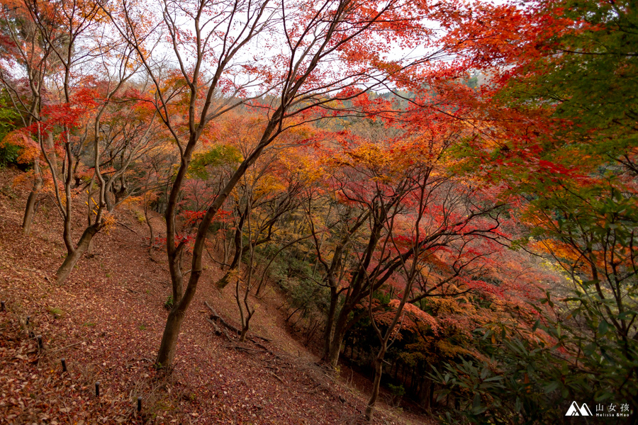 山女孩MelissaxMao冒險生活_御岳山-7284.jpg