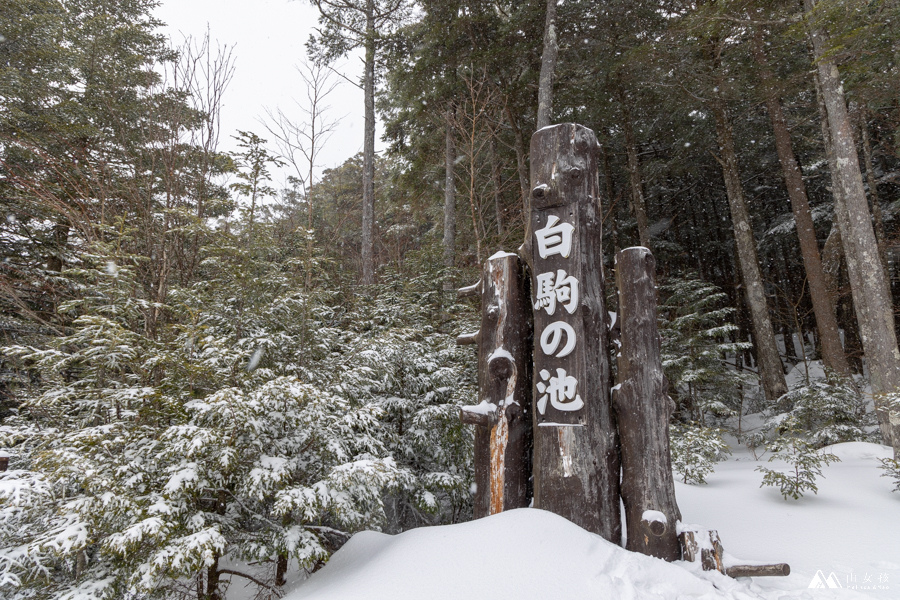 山女孩MelissaxMao冒險生活_北八岳縱走-4002.jpg