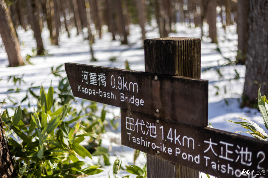 山女孩MelissaxMao冒險生活_冬季上高地雪季路線分享-2632.jpg