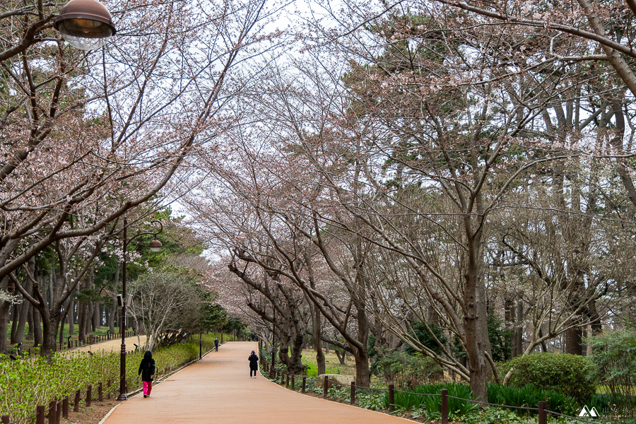 山女孩Melissa_韓國蔚山_大王岩公園-40.jpg