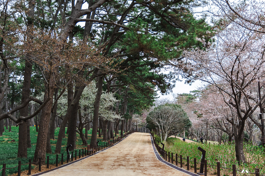 山女孩Melissa_韓國蔚山_大王岩公園-39.jpg