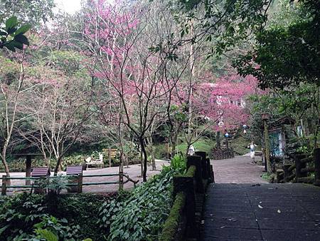 雲仙樂園