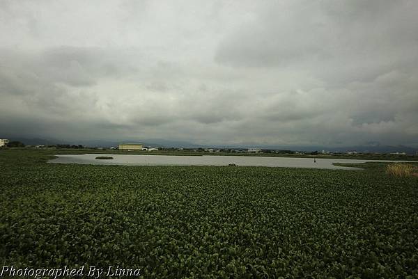 PhotoCap_031 PhotoCap_031