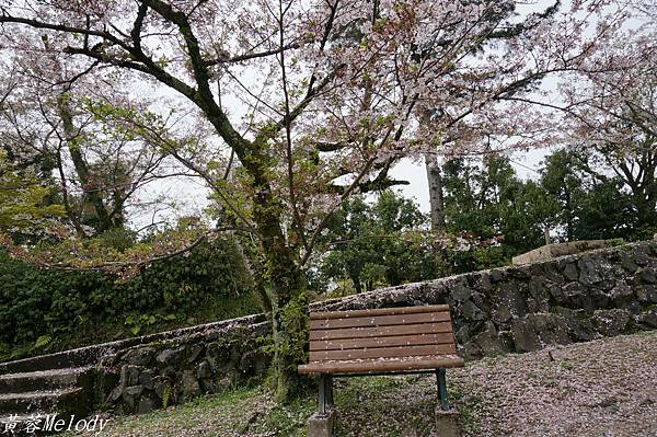 DSC02244_meitu_51.jpg DSC02244_meitu_51.jpg