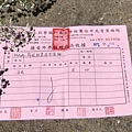 29511363_1637857779640221_1990641749500446213_n