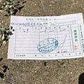 29541070_1637857362973596_3692681604356712222_n