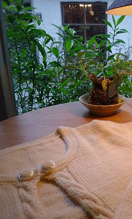 P1100422 P1100422