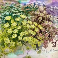 染色押花1.jpg