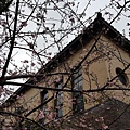 20160224_153149.jpg