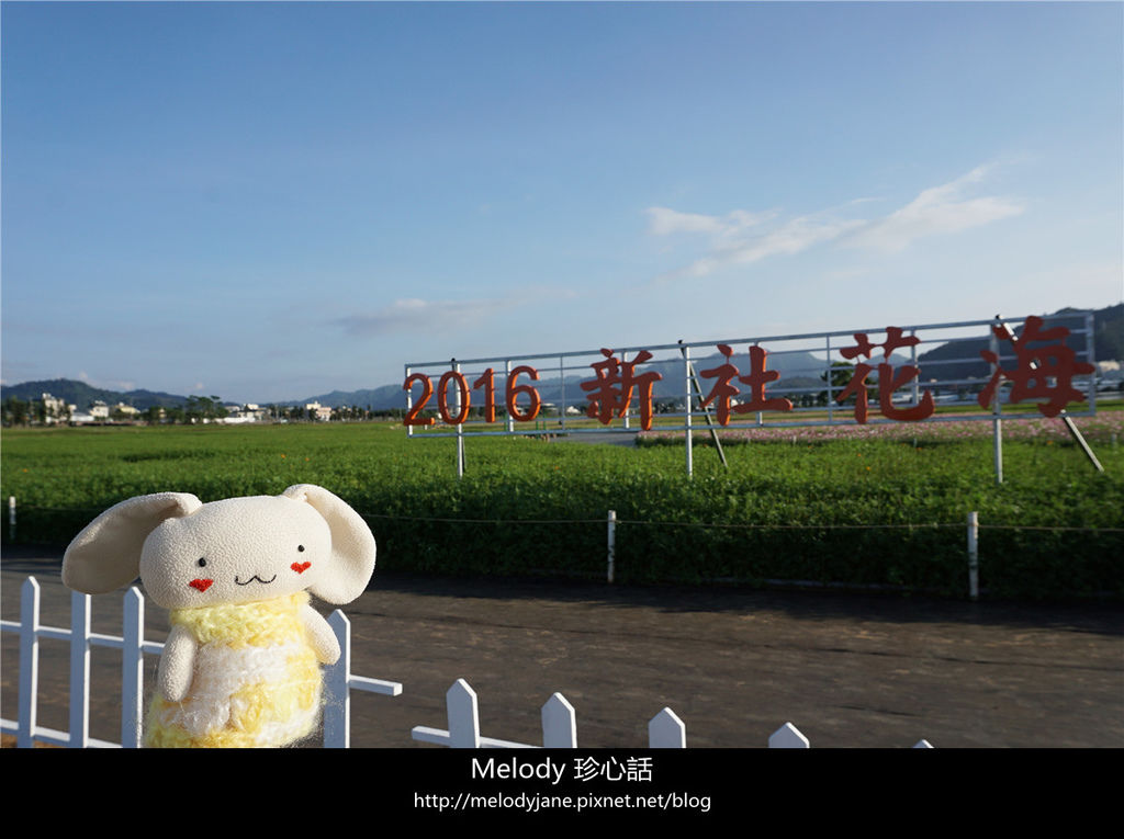 31新社花海.jpg 31新社花海.jpg
