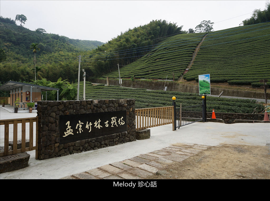 513 南投鹿谷景點 孟宗竹林古戰場.jpg