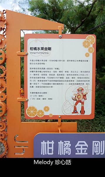 2711 柑橘水果金剛.jpg