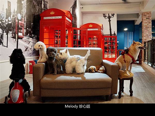 241 英倫王子悠閒時光寵物旅館.jpg